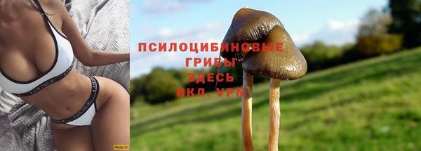 тгк Армянск