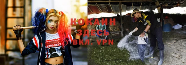 тгк Армянск