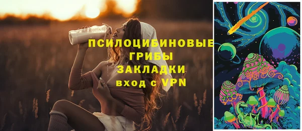 apvp Арсеньев